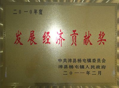 发展经济贡献奖