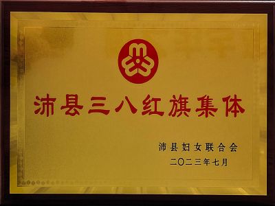 沛县三八红旗集体