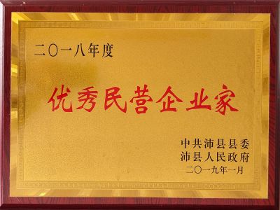 优秀民营企业家